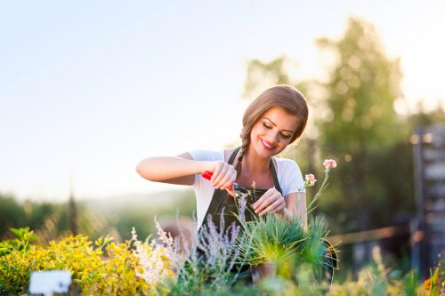 Eco-friendly disposal during garden clearance