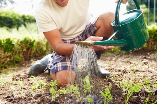 Illustration of secure online payment for gardening services