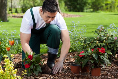 Pruning and trimming plants in a Kentish Town garden