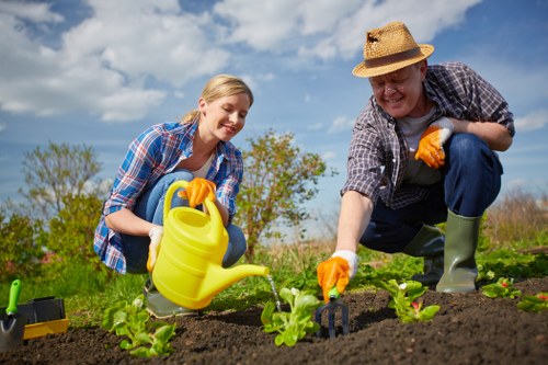 Choosing the right garden maintenance service in Kentish Town