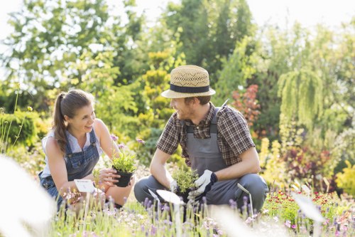 Bank transfer and PayPal options for garden service payments