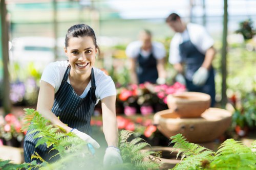 Eco-friendly hedge trimming practices in urban gardens
