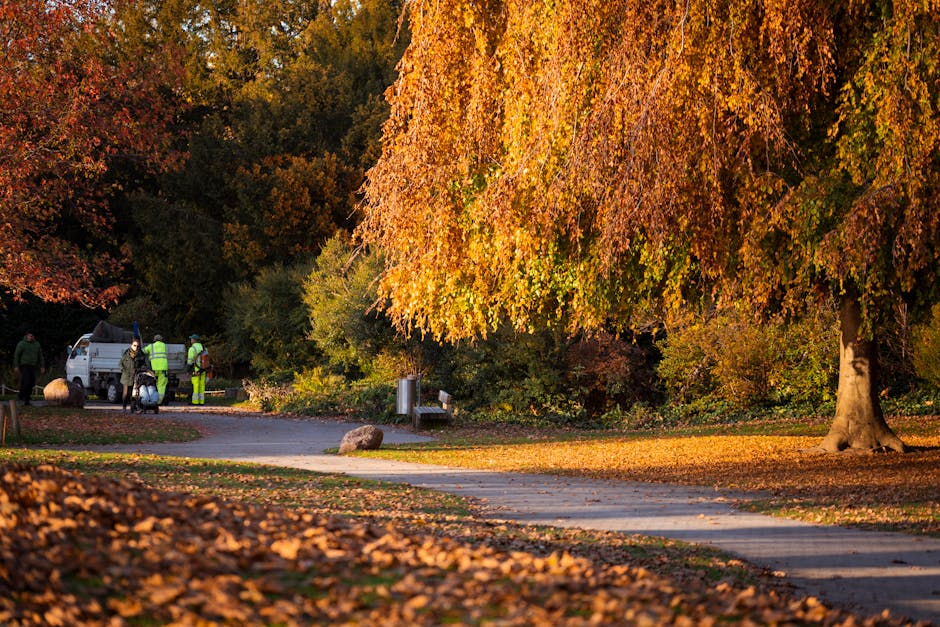 A scenic view of a well-maintained garden area featuring several mature deciduous trees with thick, textured trunks and a lush canopy of green leaves, some beginning to turn yellow, indicating early a